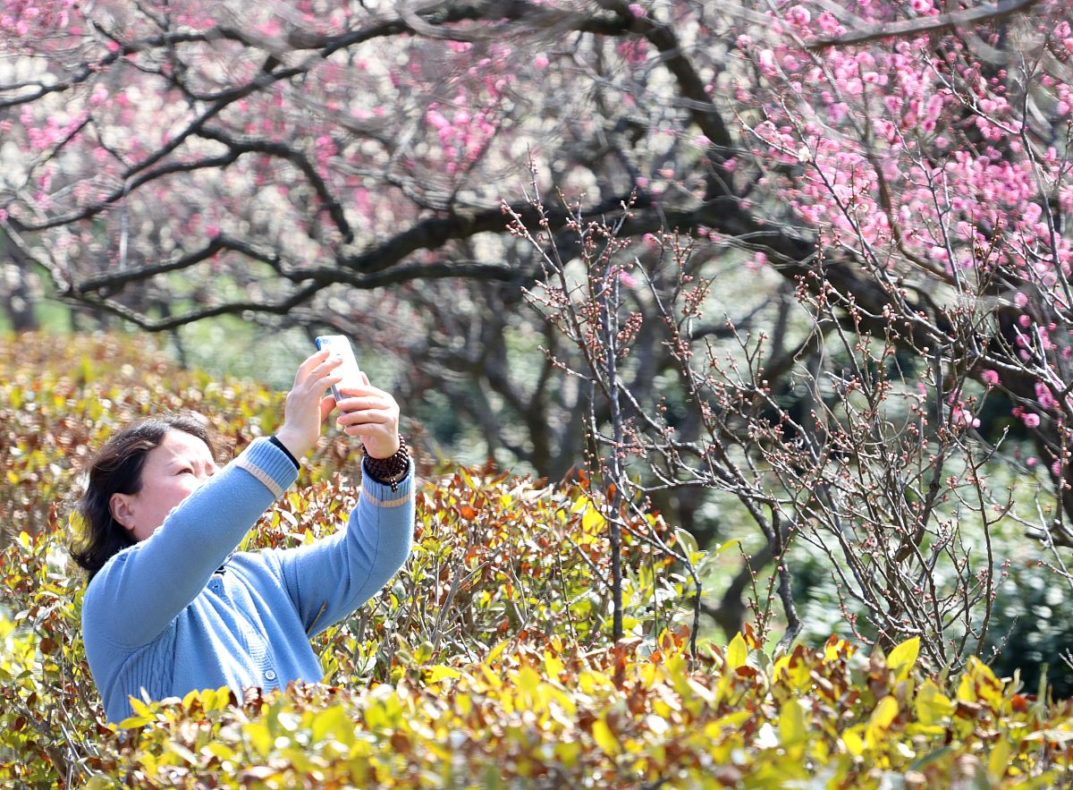梅花十三发色变之谜：古代暗器的隐蔽绝技