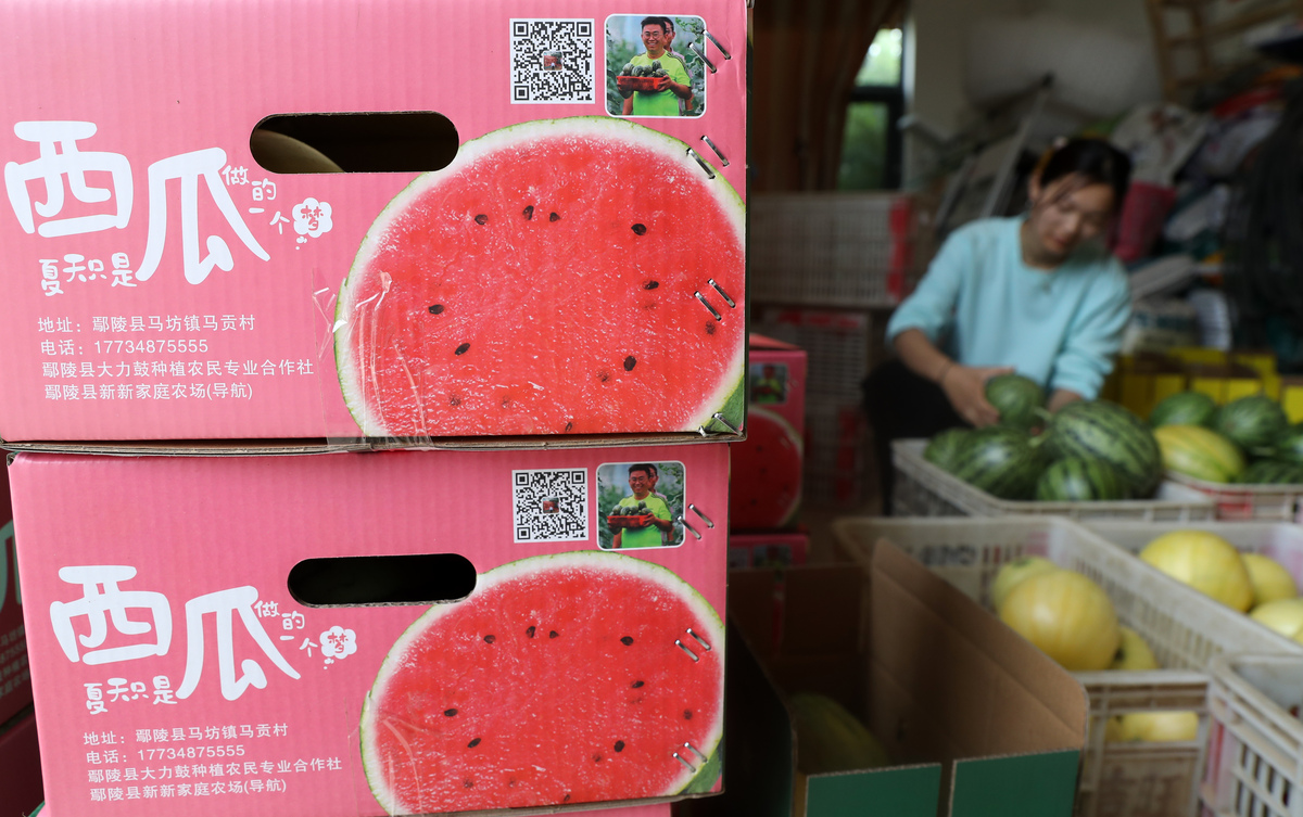 西瓜果切桃子果切50字好评