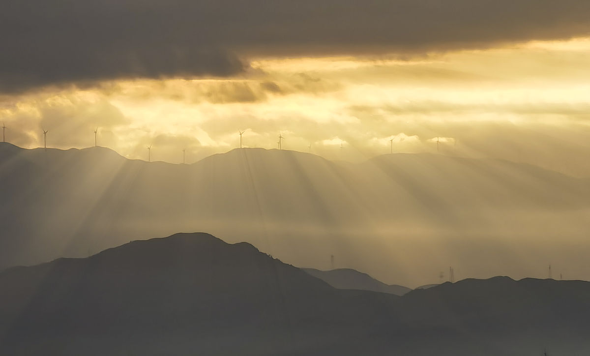 武都职业中学2021年招生简章