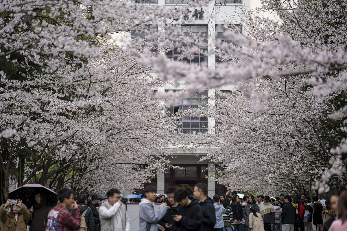《后林改时期云南林业专业合作社发展问题及对策》论文的研究背景不少于800字。