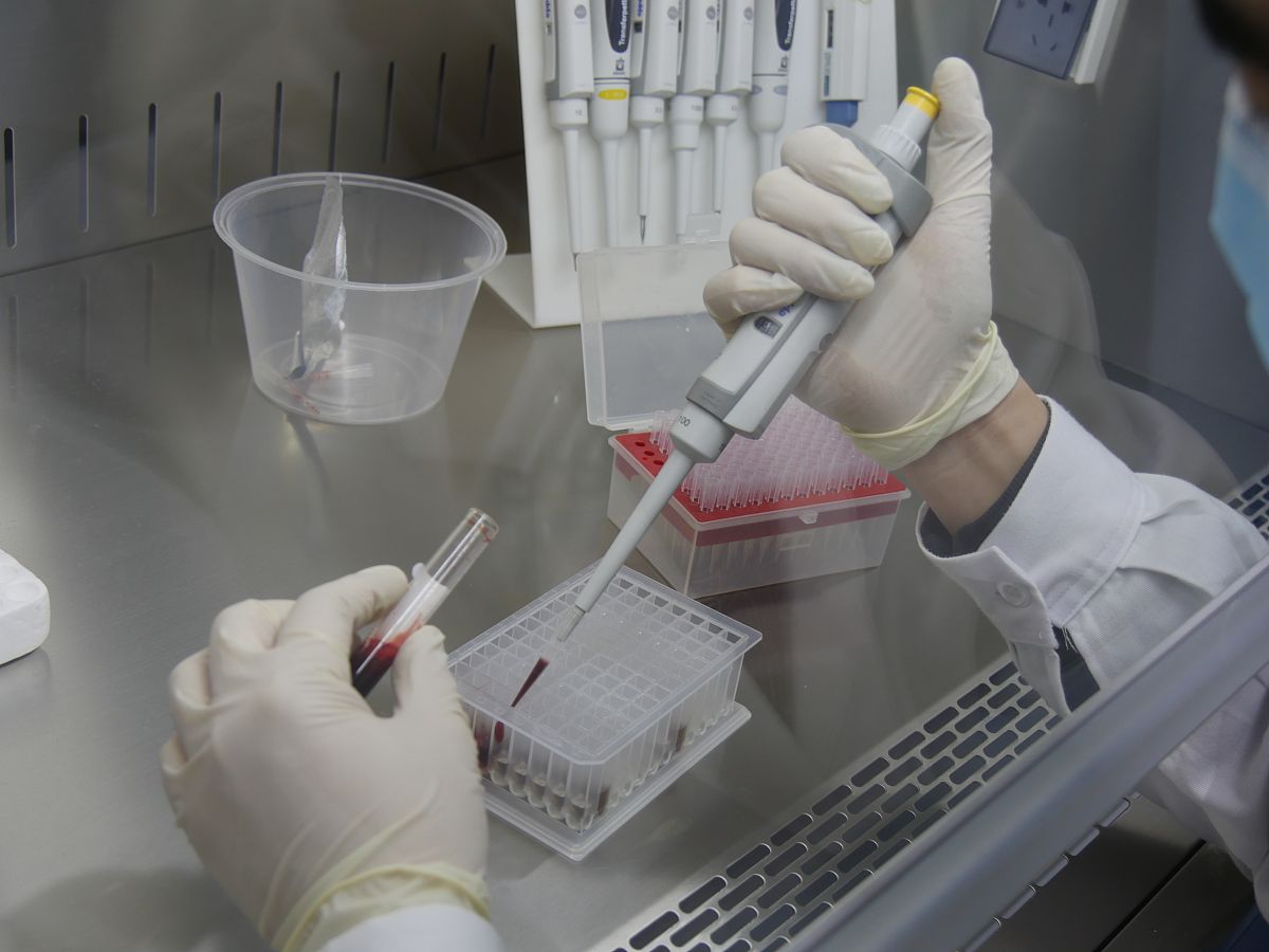 通过动物实验可以监测胰岛素类似物的血药浓度吗？您能不能写一份详细的实验方案？