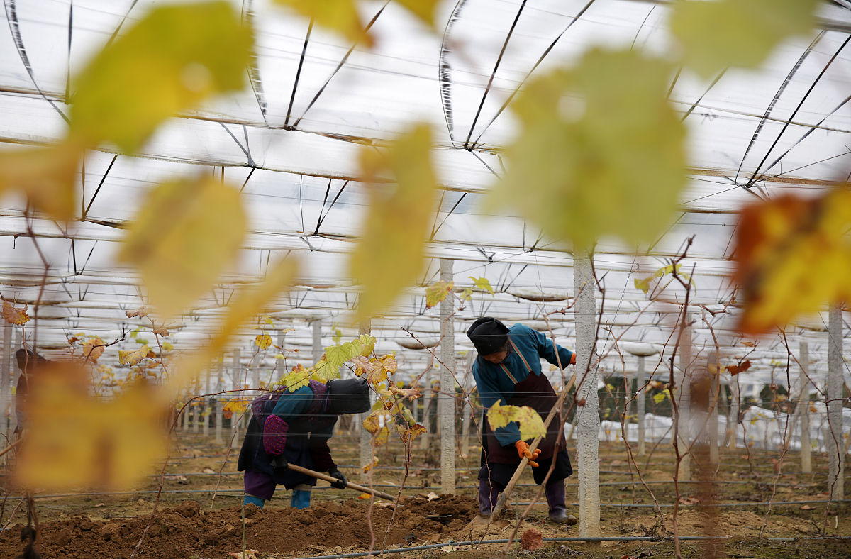 安徽马鞍山工业学校2022年哪些专业招生
