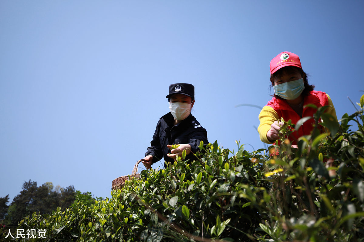 风雨彩虹五周年：逐梦新征程，建功新时代