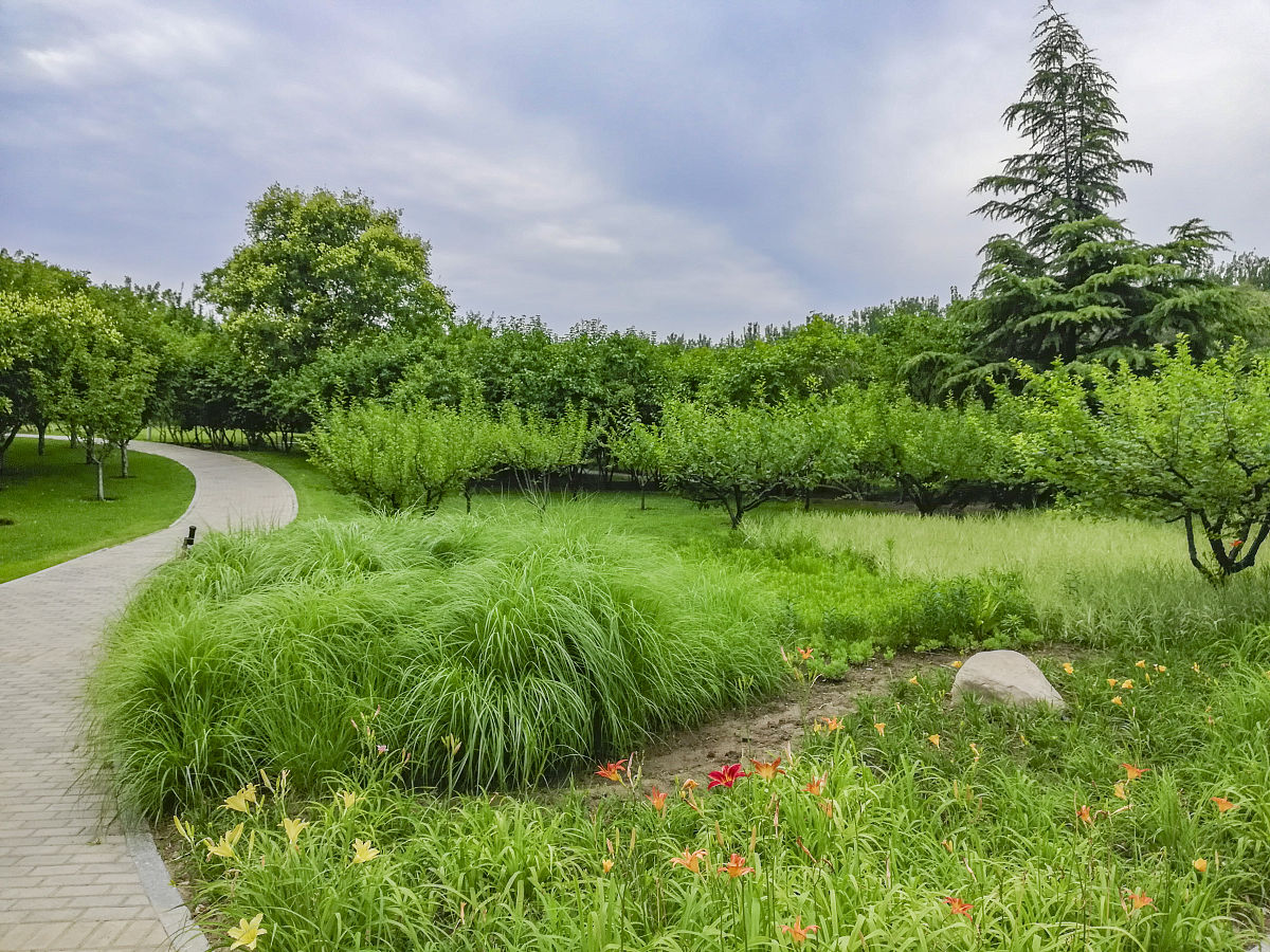 城乡绿地概念：定义、类型及重要作用