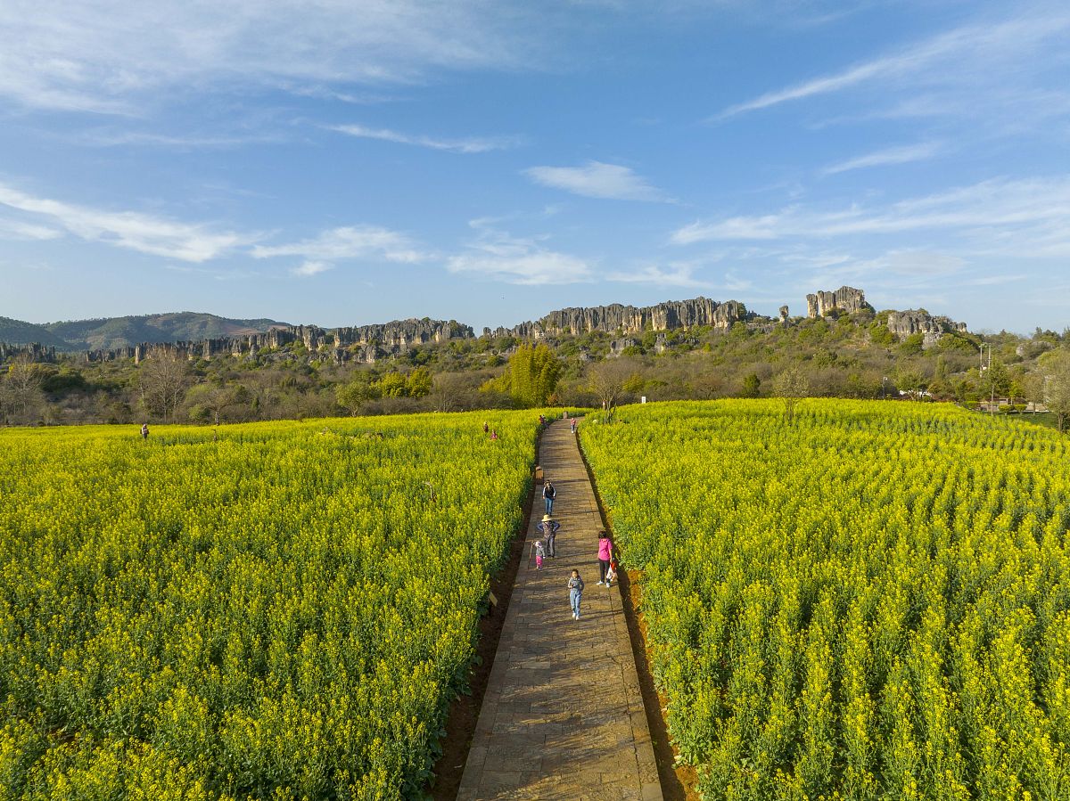 2022年曲靖财经学校会计专业招生