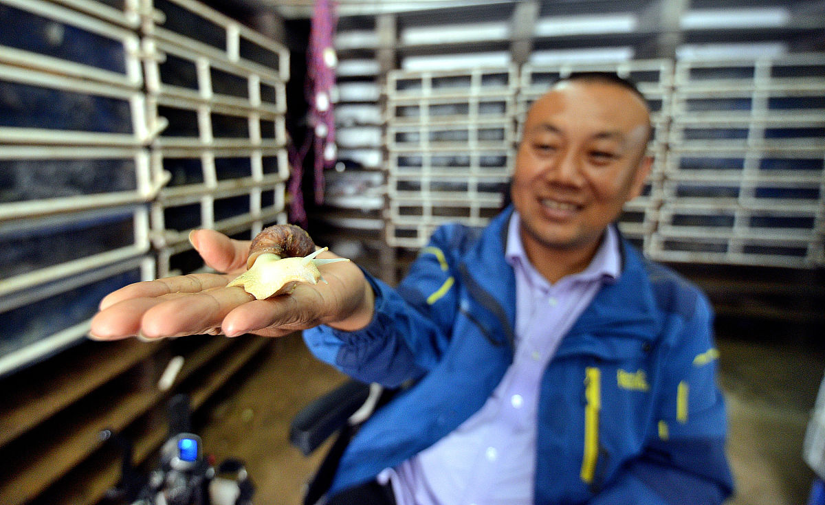 视频名片文案：克服困难，追求梦想的创业故事