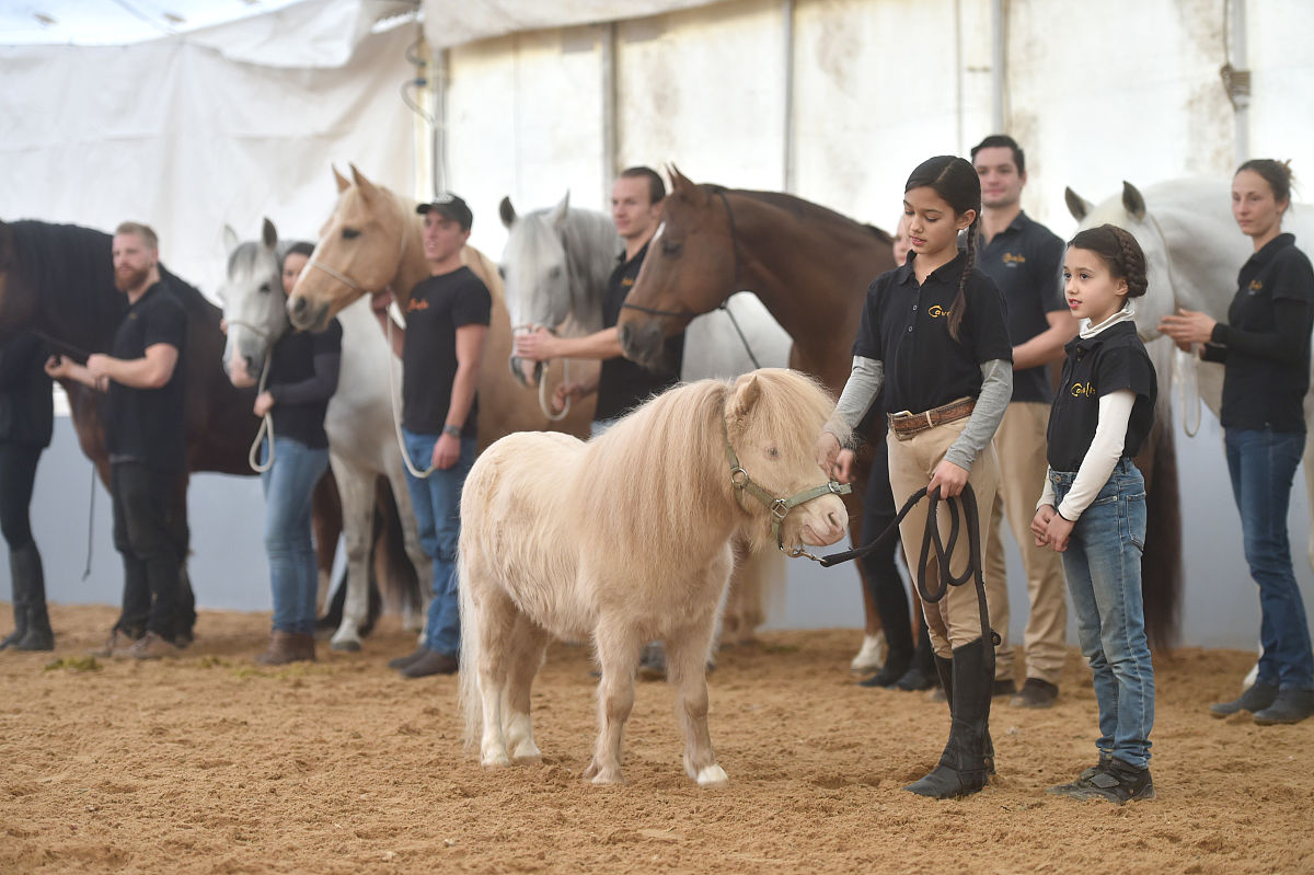 2018年2月7日,加拿大舞台秀《cavalia·舞马》在南京揭开神秘面纱,来