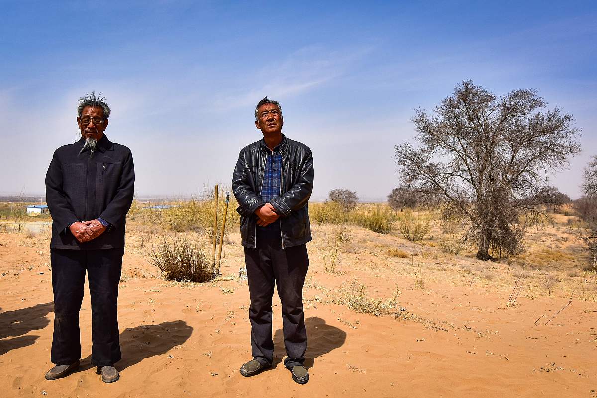 宁夏治沙英雄孙国友林场遭破坏，万亩树木面临枯死，跪地哭诉引发网民关注
