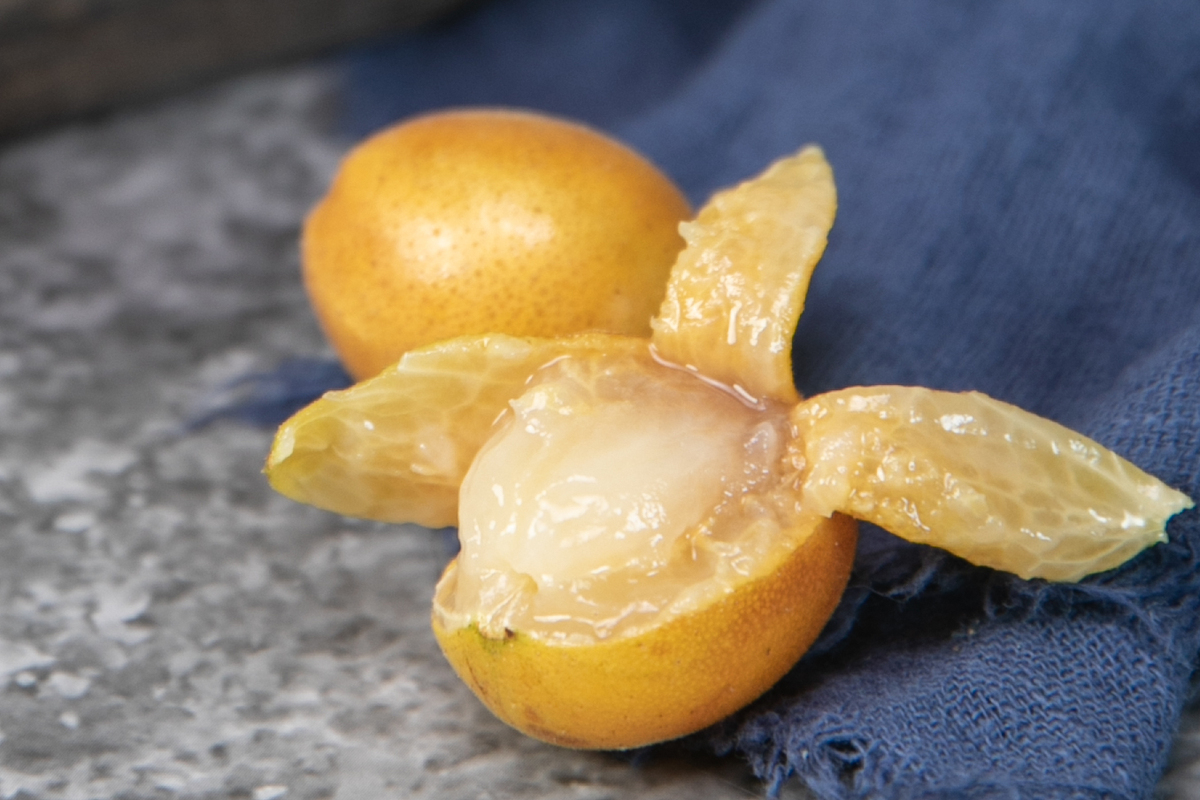 枇杷果核分离详细原理