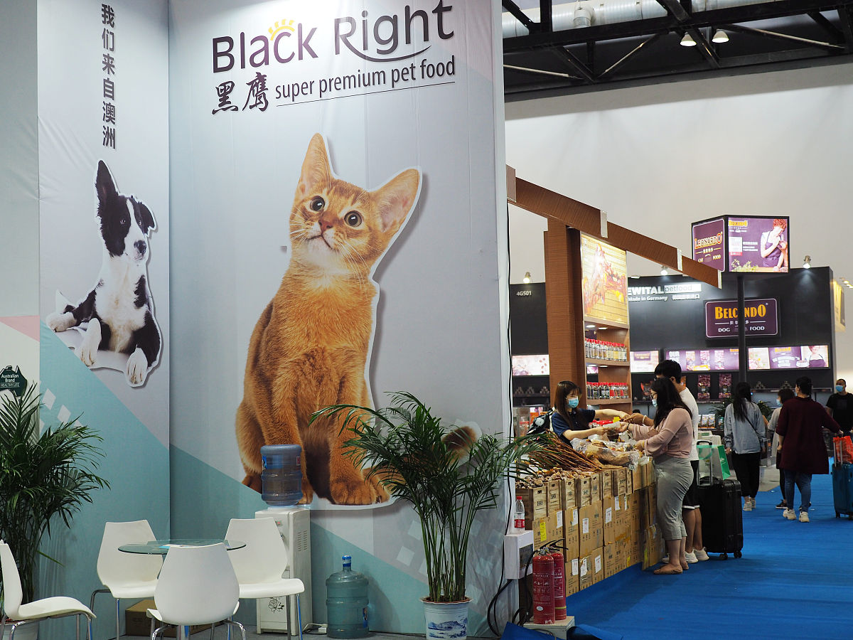 猫咖视觉形象设计研究创新点