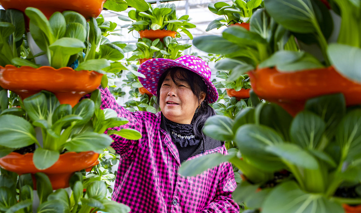 四川工业科技学院校园荣誉有哪些？