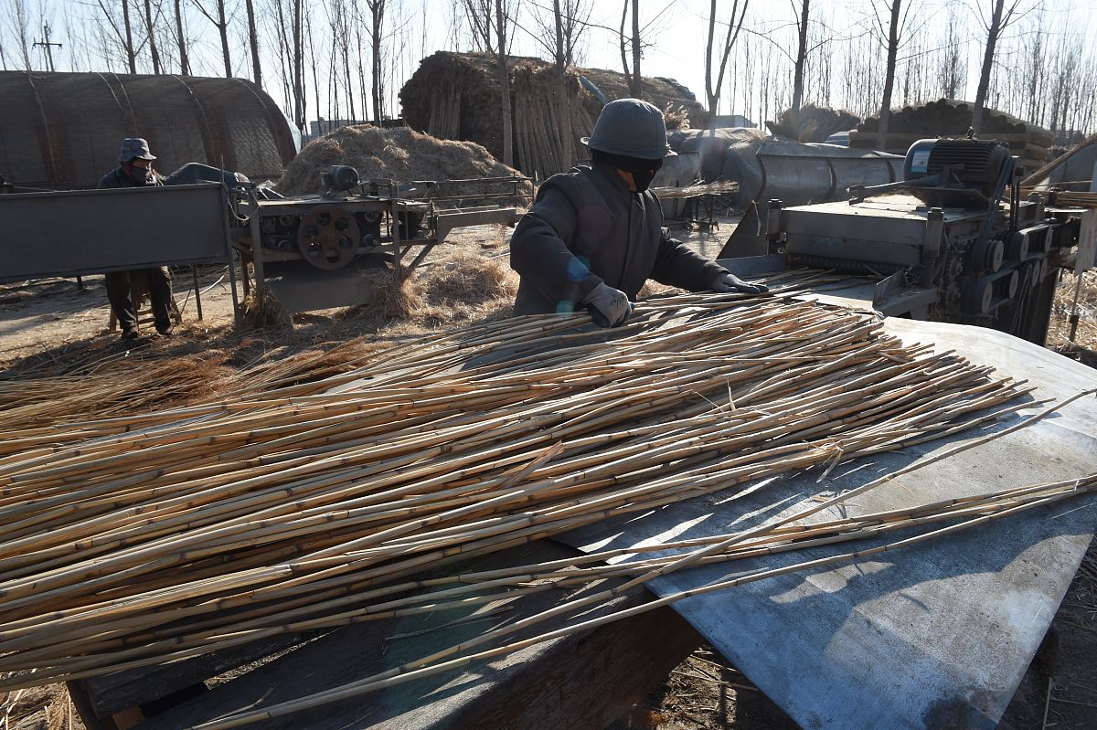 沧州蓝天美容美发学校正规吗？