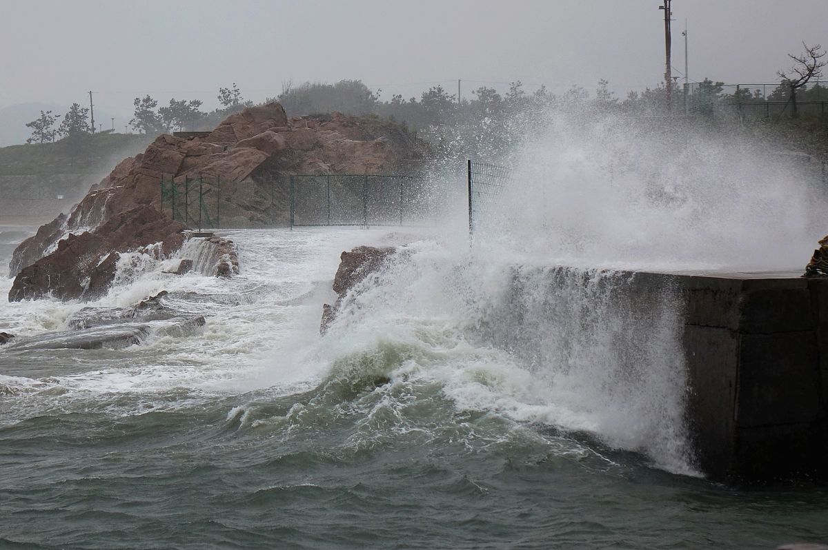 青岛旅游学校旅游日语获得哪些荣誉