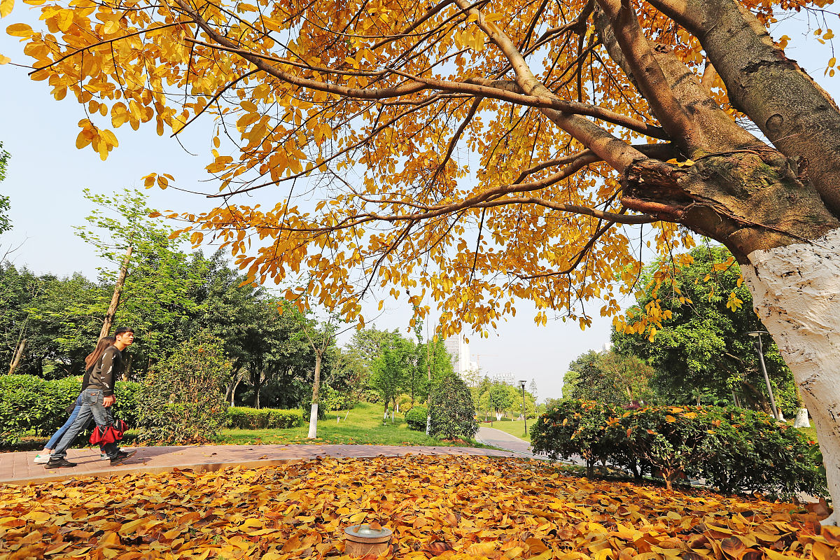 重庆理工大学财务管理专业怎么样