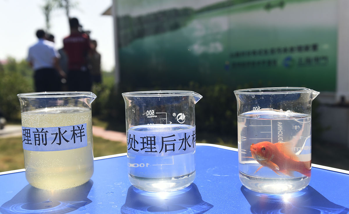 亚盐高处理：氧化钙不可直接使用！