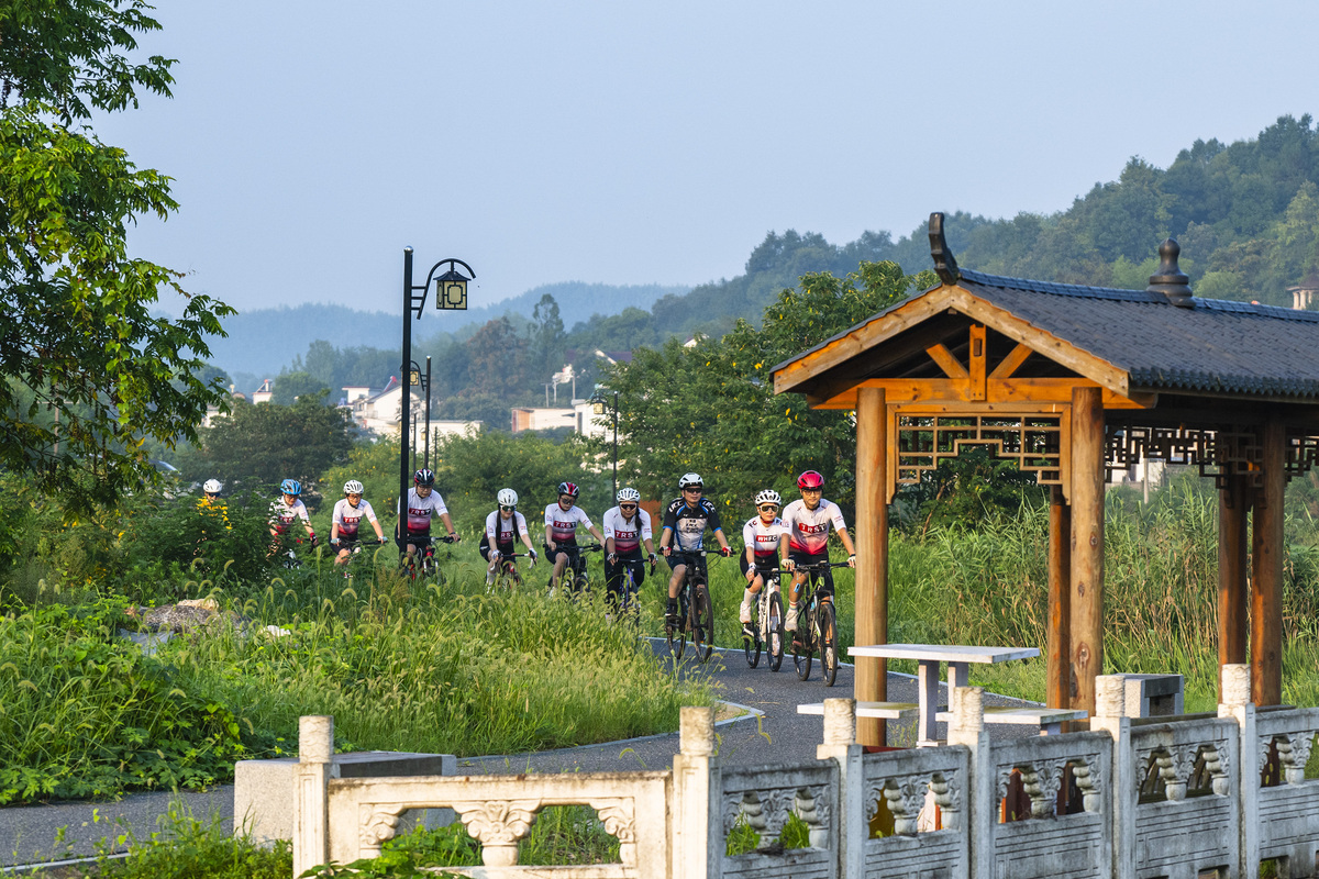 桂林桂花公社游客体验与景区吸引力研究：设施建设与配套服务优化