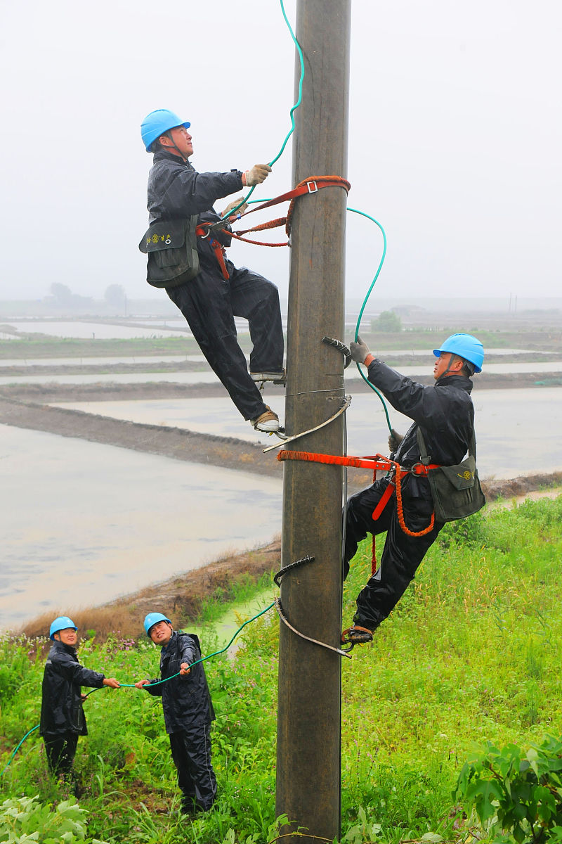 雷击对配电网的危害分析及防雷措施
