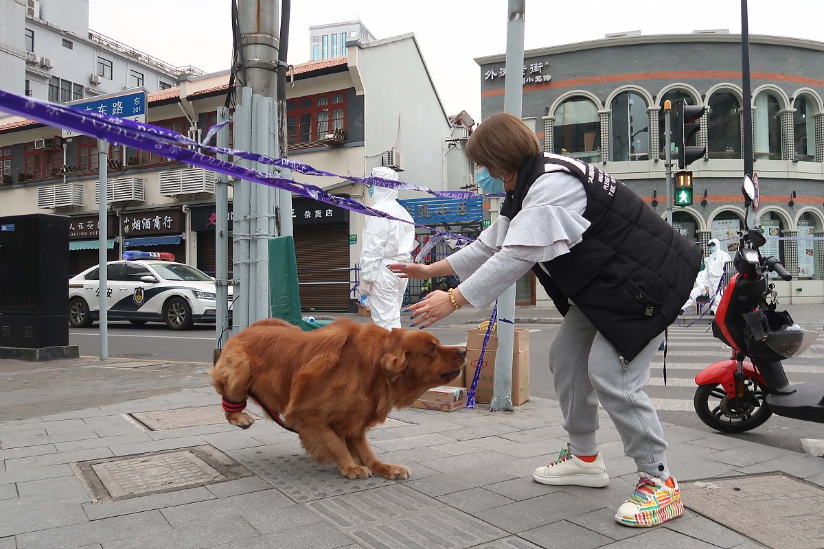 2018年成都职业技能学校单招计划