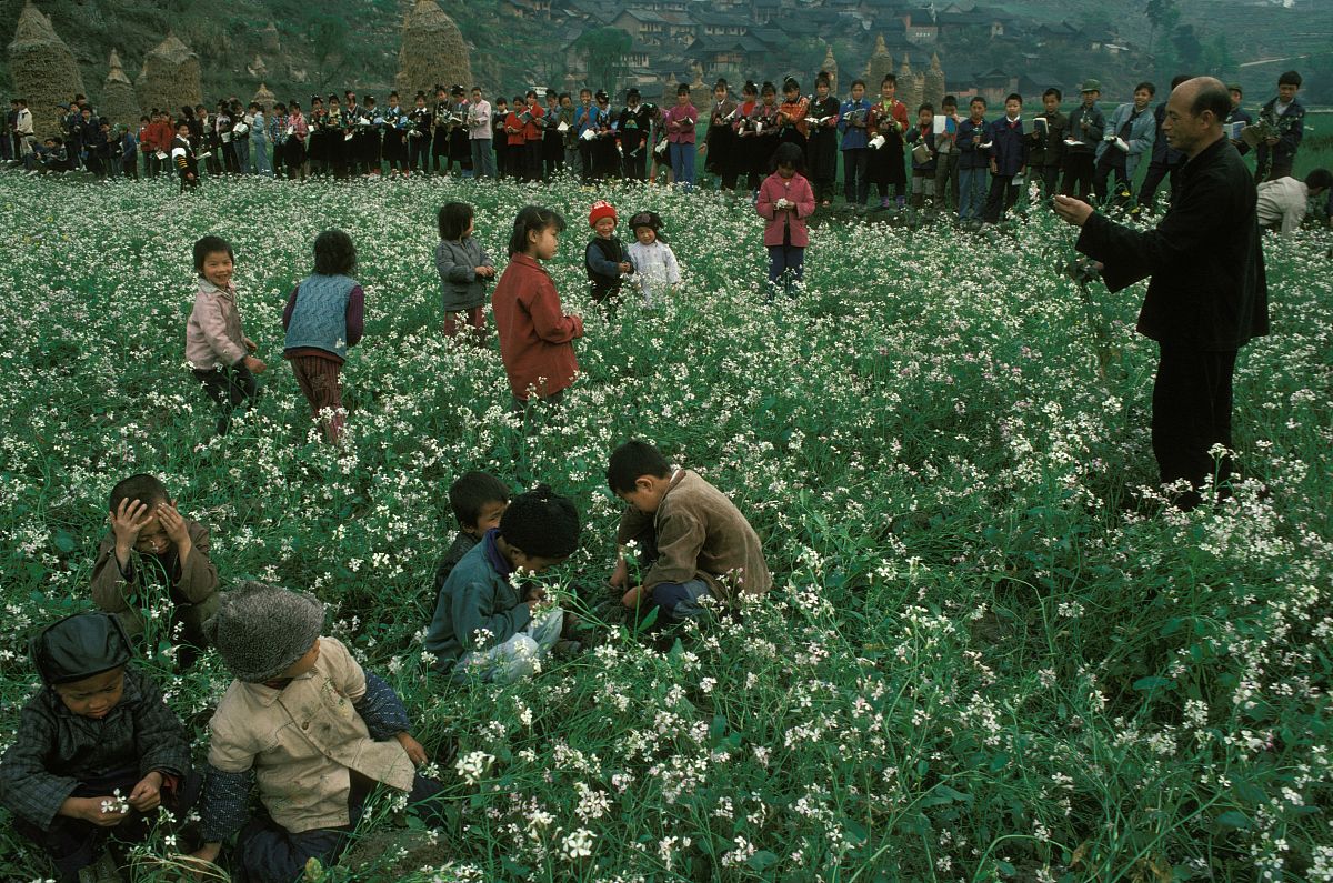 贵州大学园林专业怎么样？教学质量、就业前景及专业方向解析