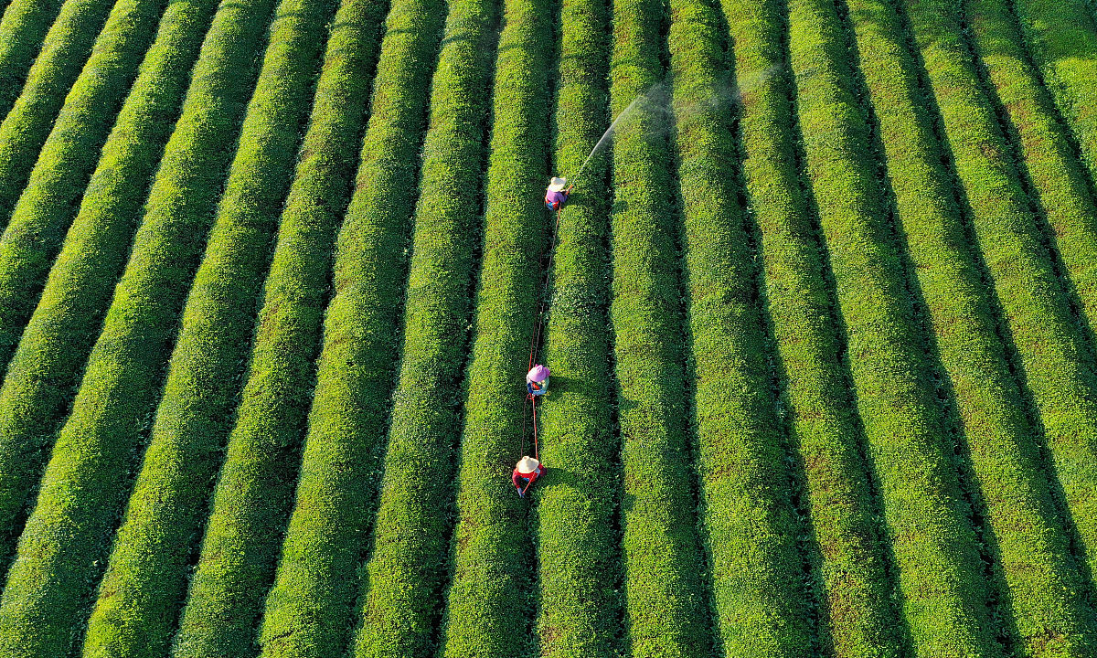病虫害防治产品：精准垂直现代农业绿色生产方案