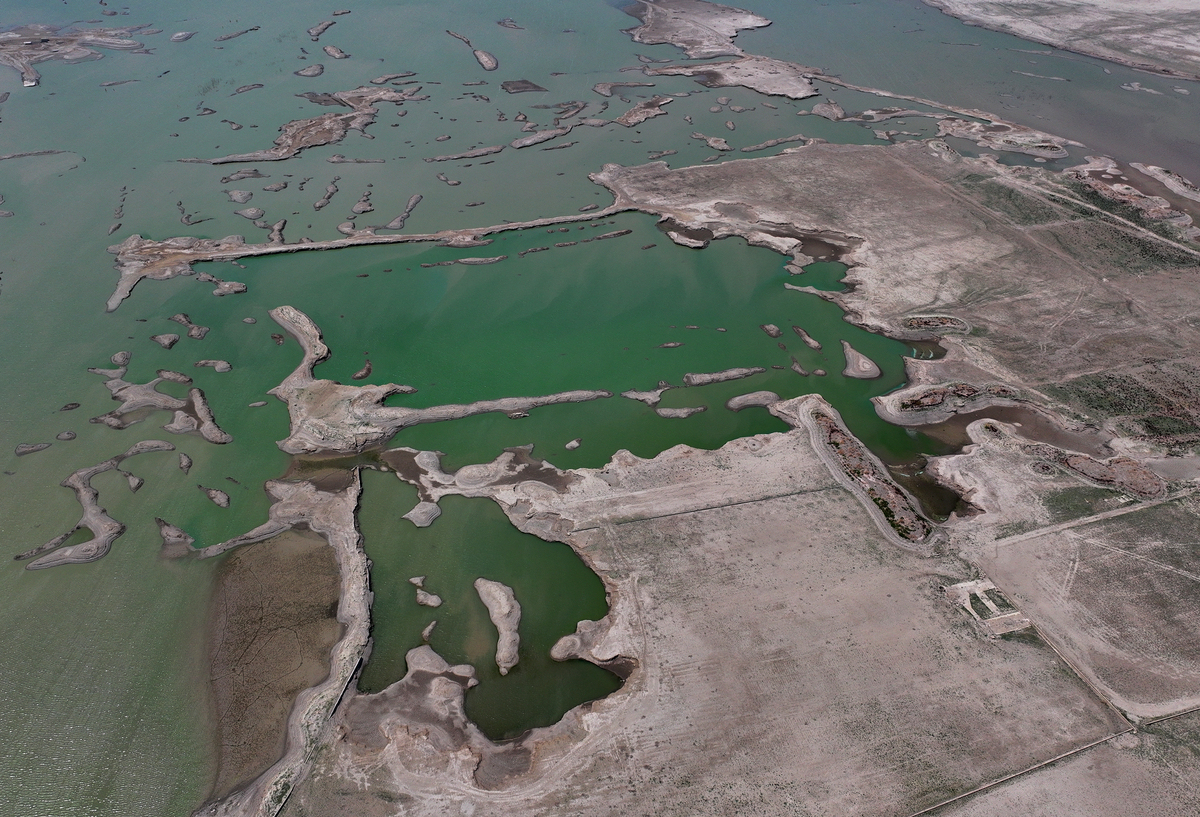 分析在黄河流域水污染的成效和不足评估其对环境保护的贡献和存在的问题。