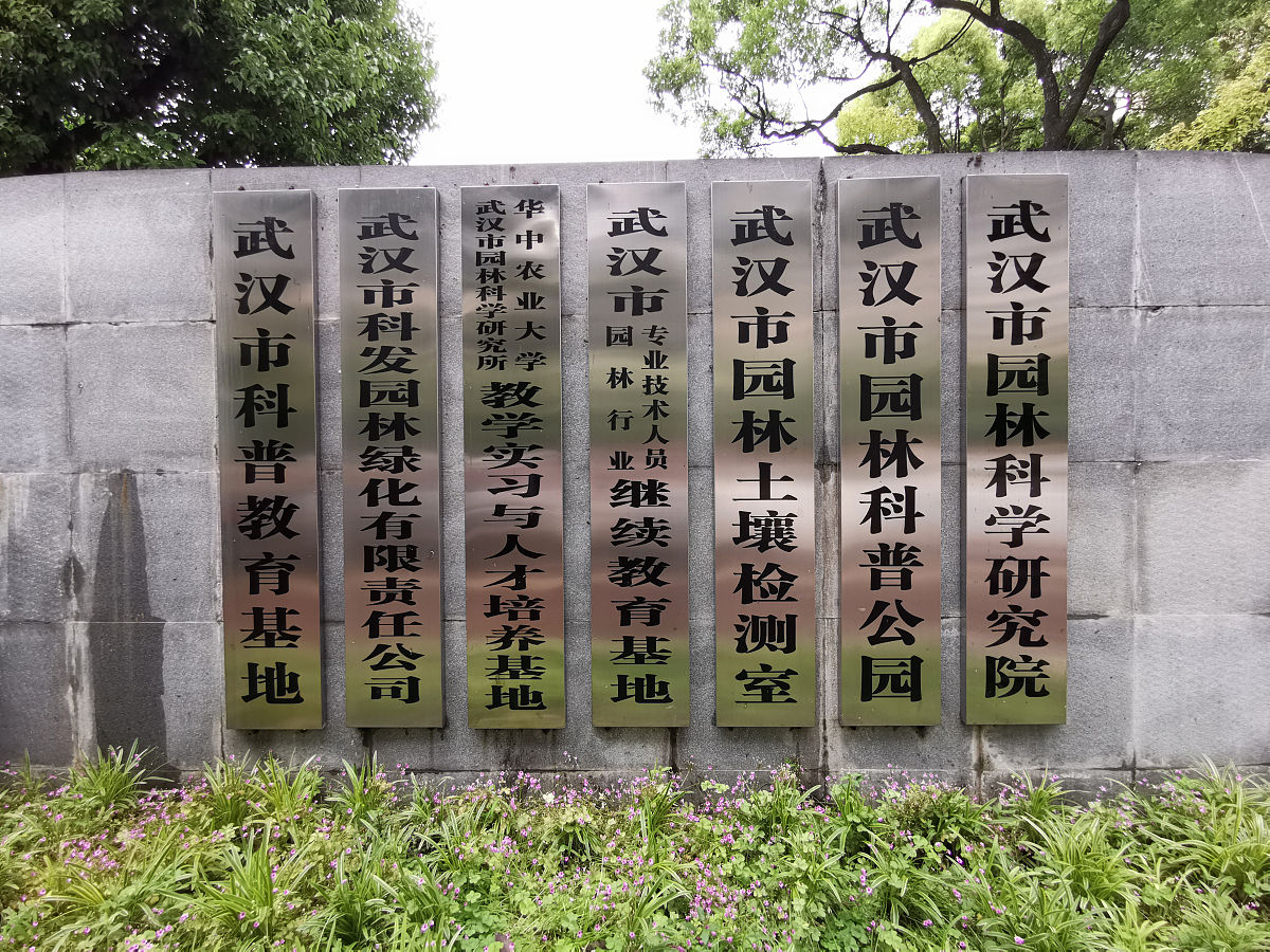 小兔子学物理：从量子力学到社会思考