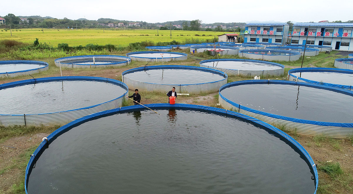 淡水养殖专业就业前景及方向用