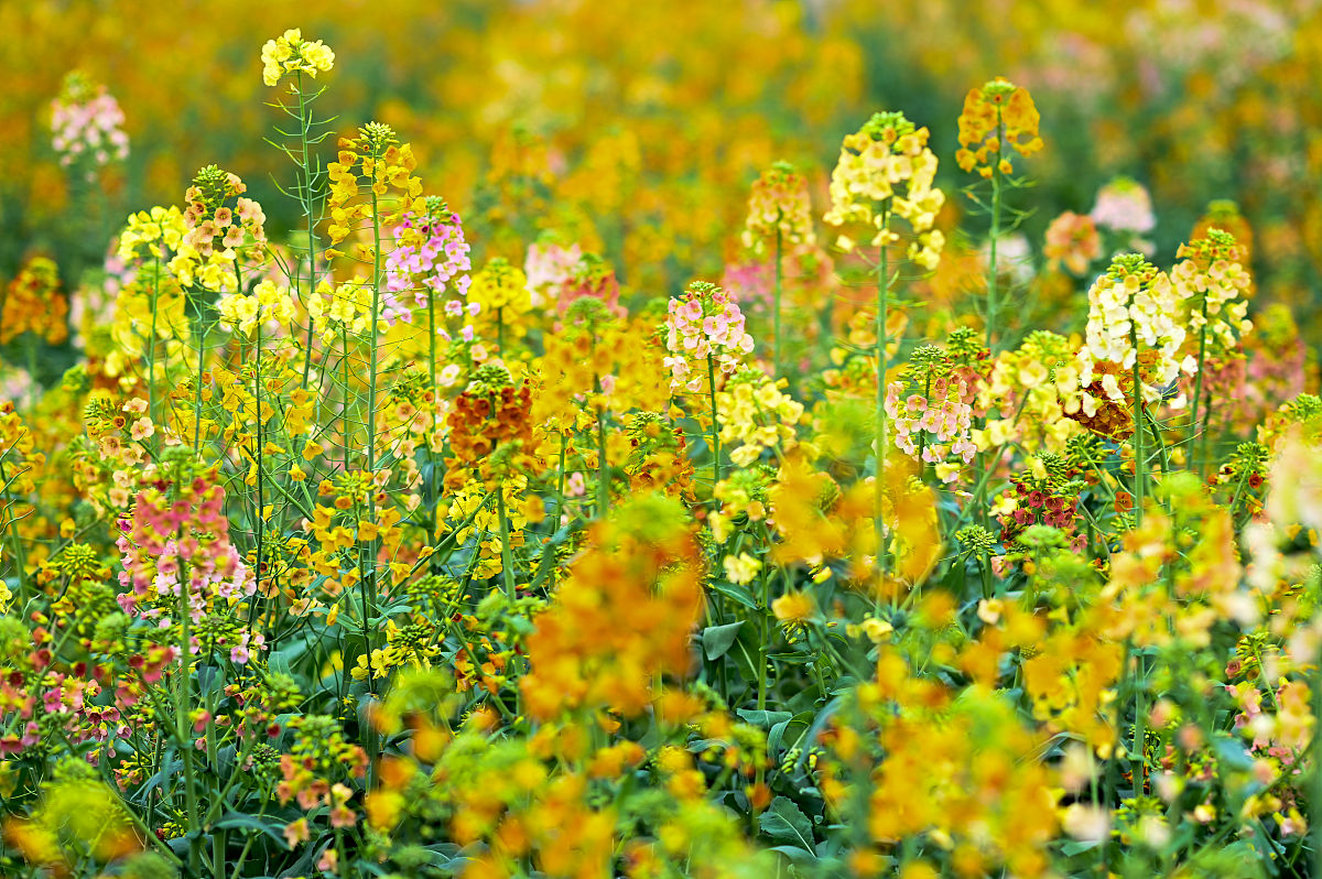 南昌中专春季招生 | 优质职业教育选择