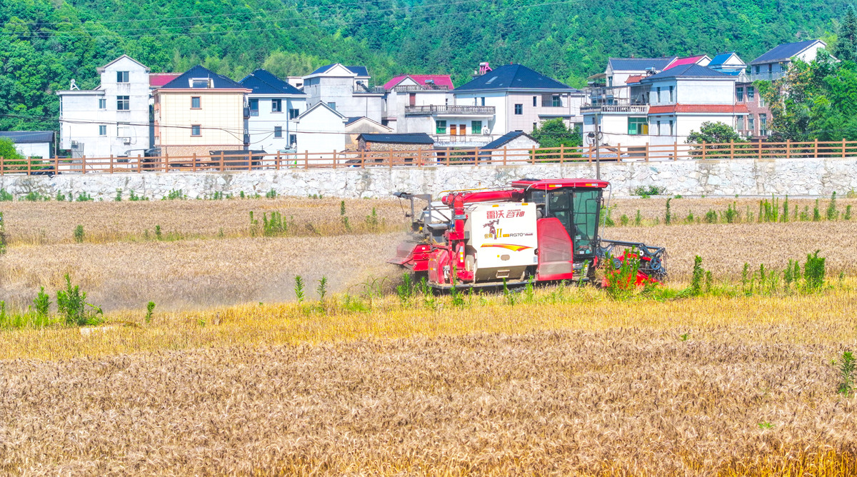 实施乡村振兴战略。______问题是关系国计民生的根本性问题必须始终把解决好三农问题作为全党工作重中之重。选择一项或多项：a 农民b 农村c 农业d 农田