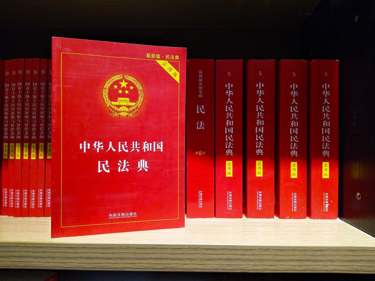 宪法小说1500字