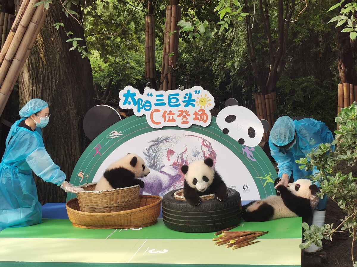 (如需下载使用,请务必署名 红星新闻 范鱼/视觉中国)2020年9月29日上