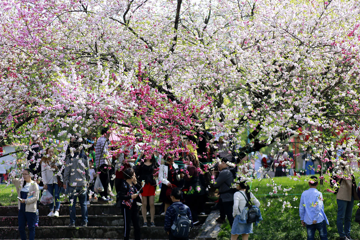 重庆三峡联合职业大学有哪些3+2五年制大专专业