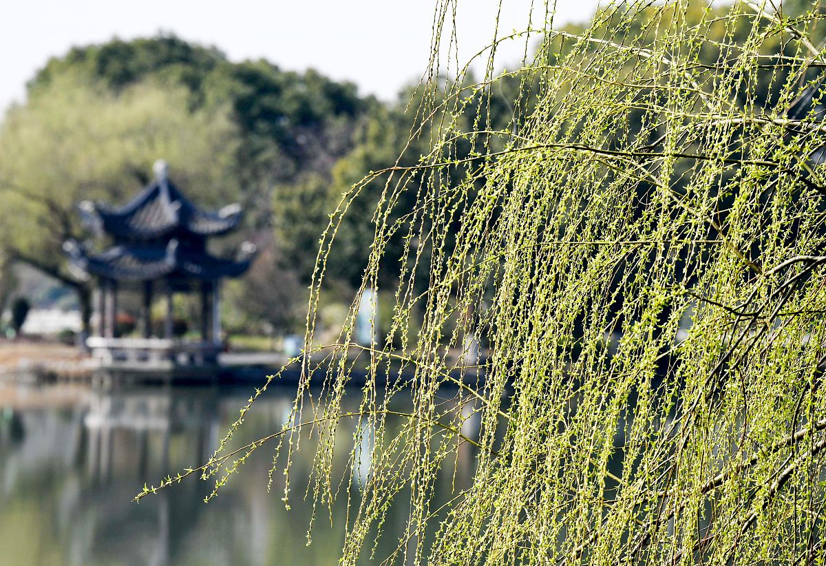 '柳暗花明'藏头诗一首，感受诗意盎然的春景