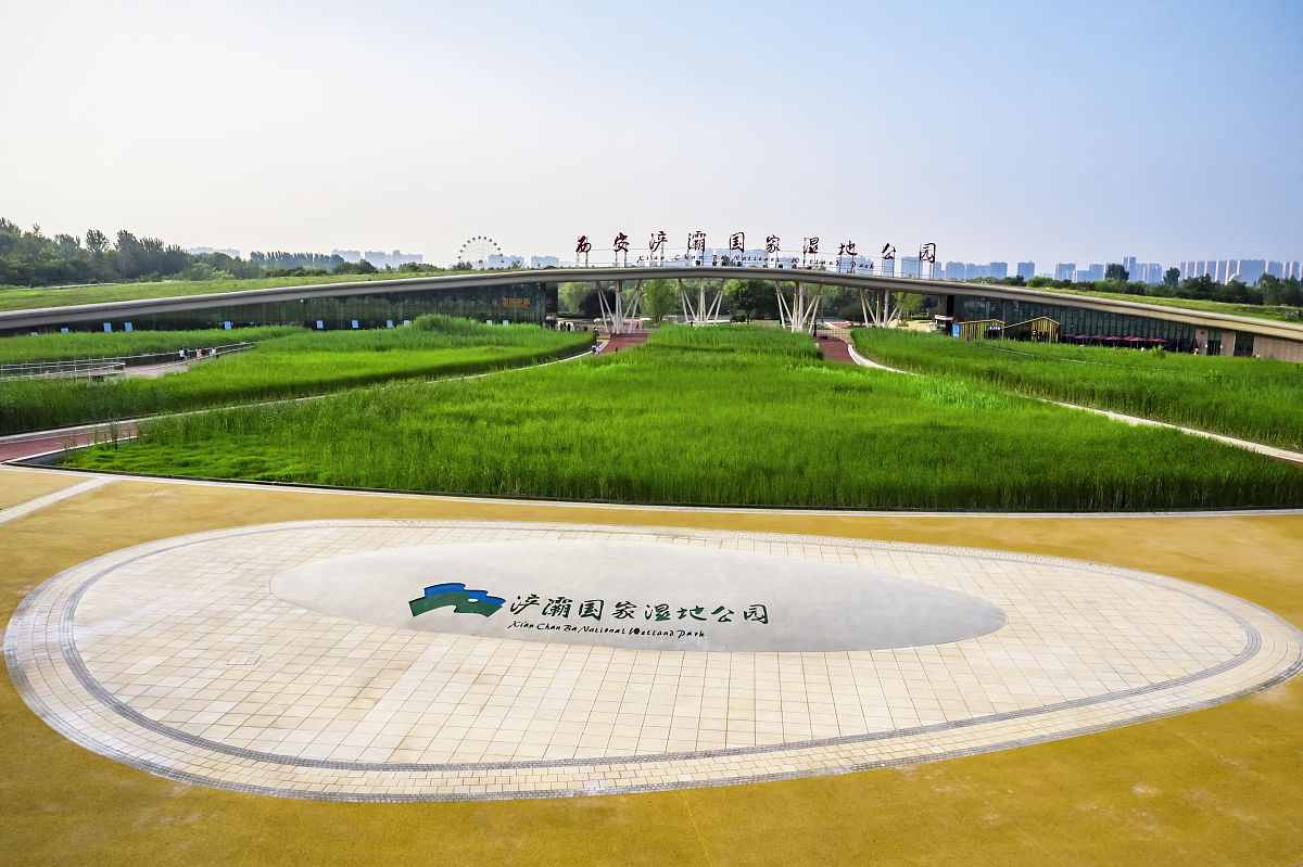 2021年7月1日,西安浐灞国家湿地公园.(如若下载使用,请务必署名:曾文