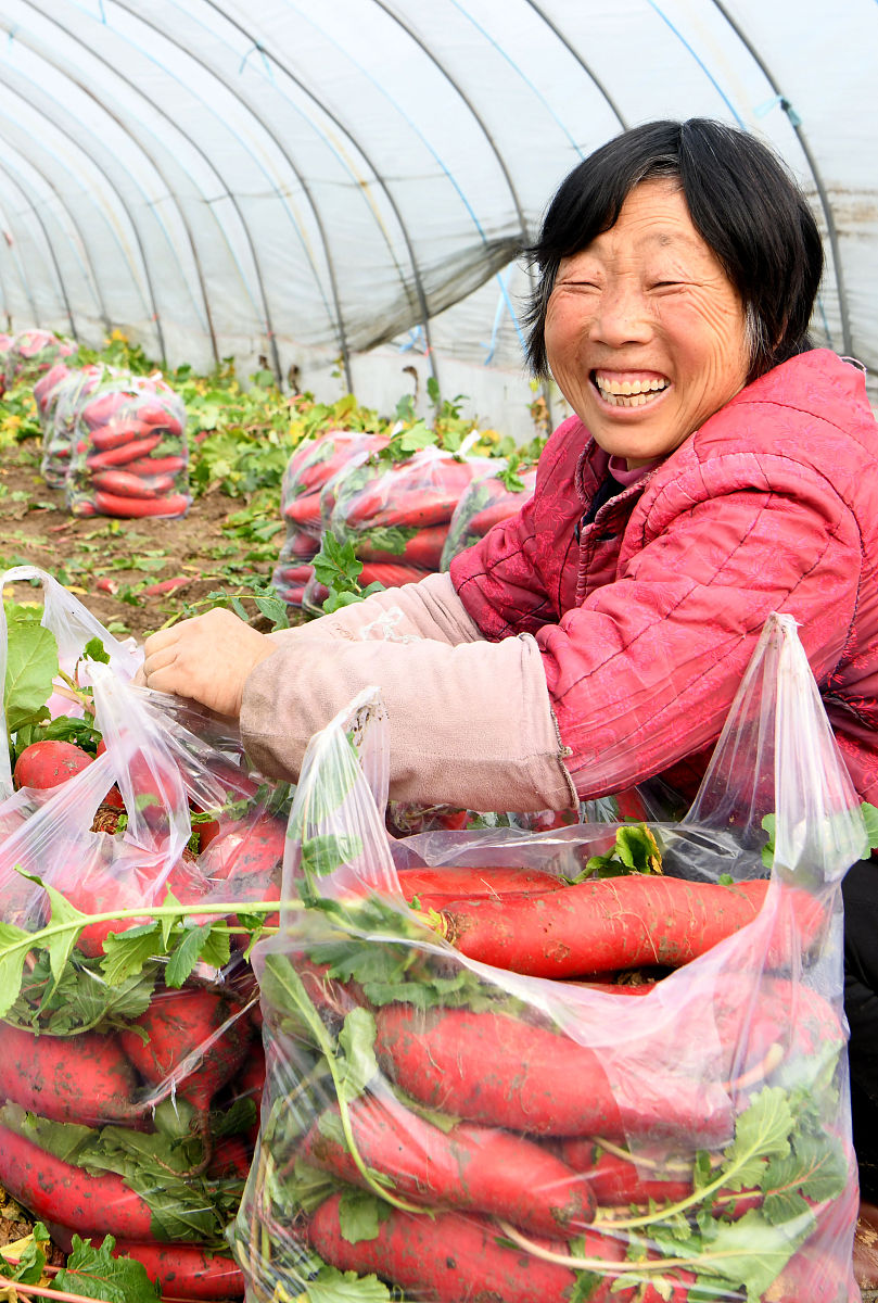 安徽省2022高中物理教材目录 - 最新教材信息查询