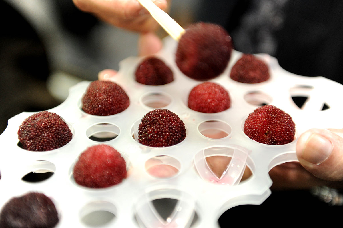 鹿茸片一天吃多少合适？专家建议及注意事项