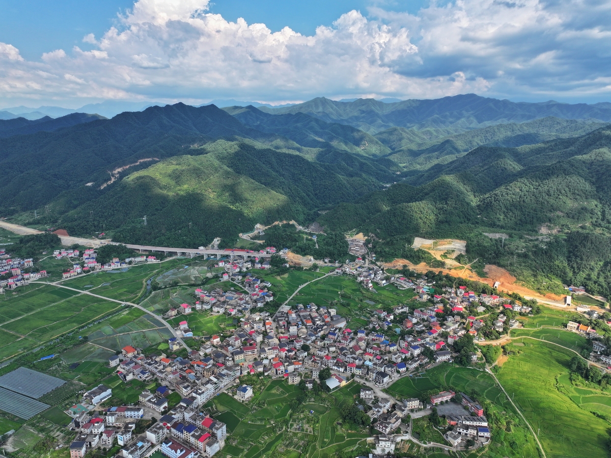 乡村振兴典型案例与经验调查2031字以内要求写出真实乡村名