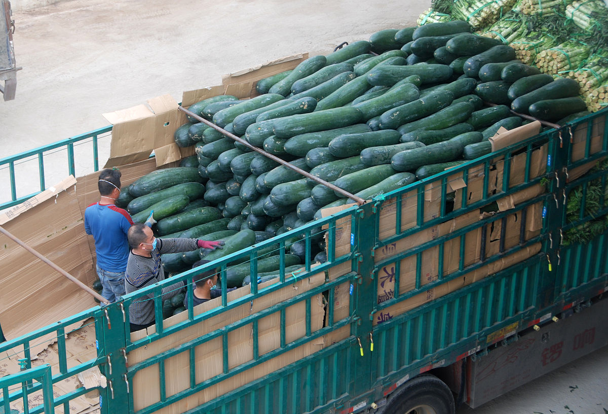 广西农业职业技术学院农业生物技术专业：课程设置与发展方向