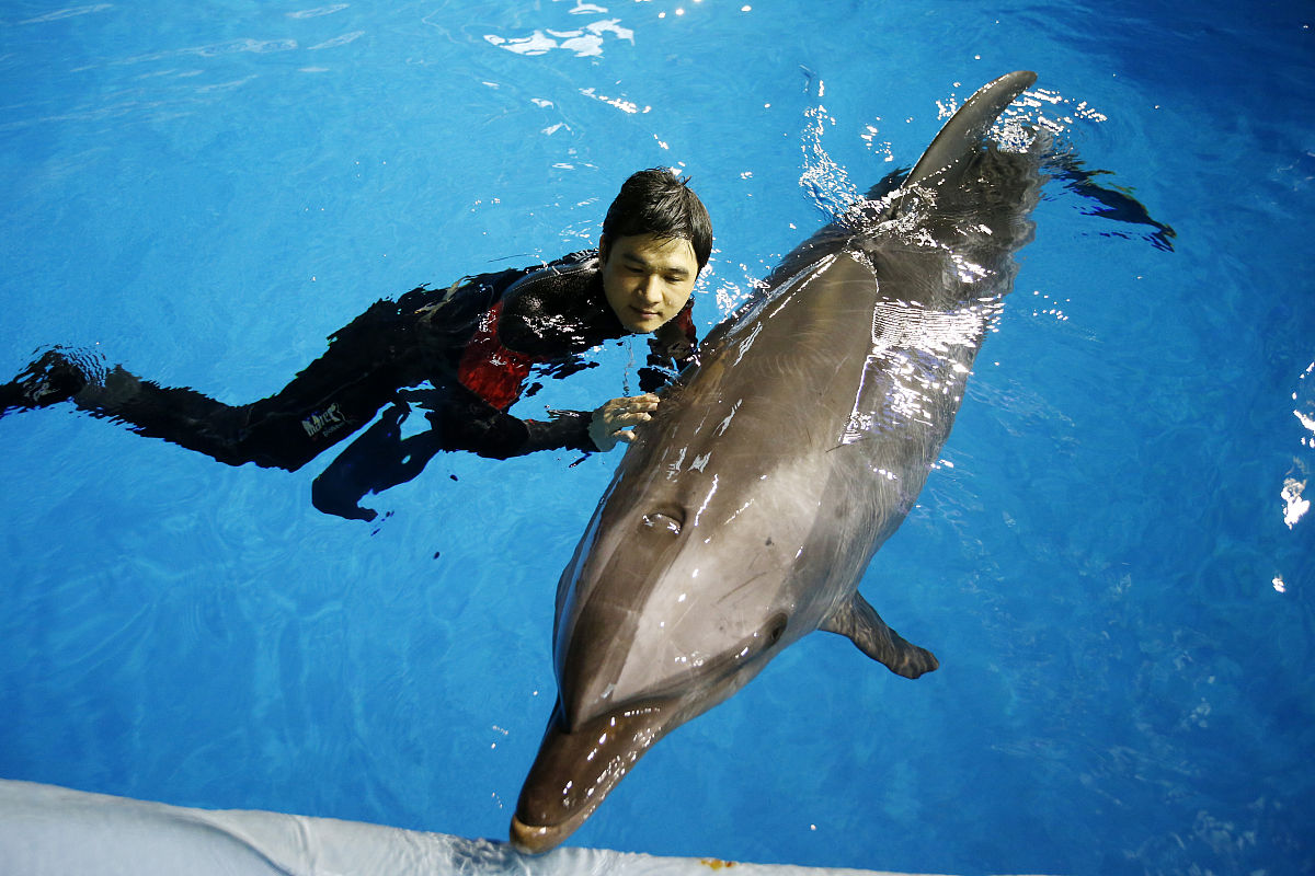 如何成为一名优秀的幼儿教师？必备素质解析