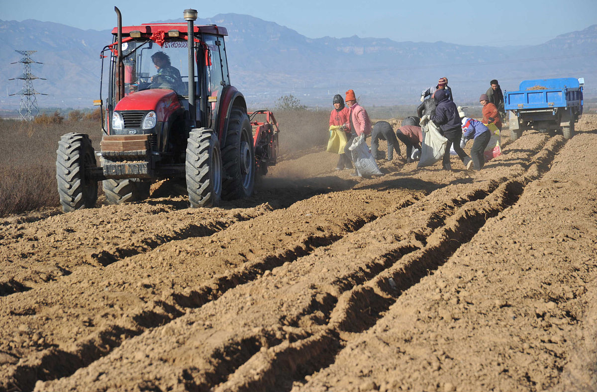 贵州医科大学中药学专业招生就业：岗位、前景及优势