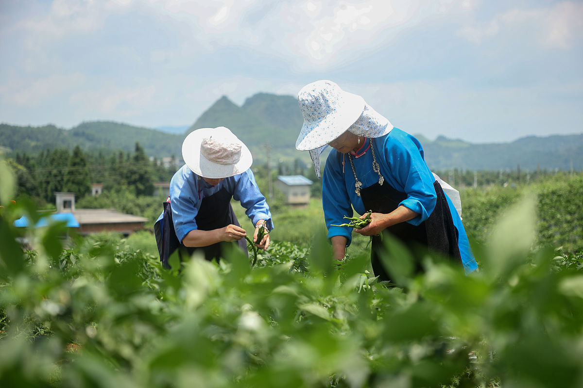 贵州职校中草药种植专业就业前景好不好？好就业吗