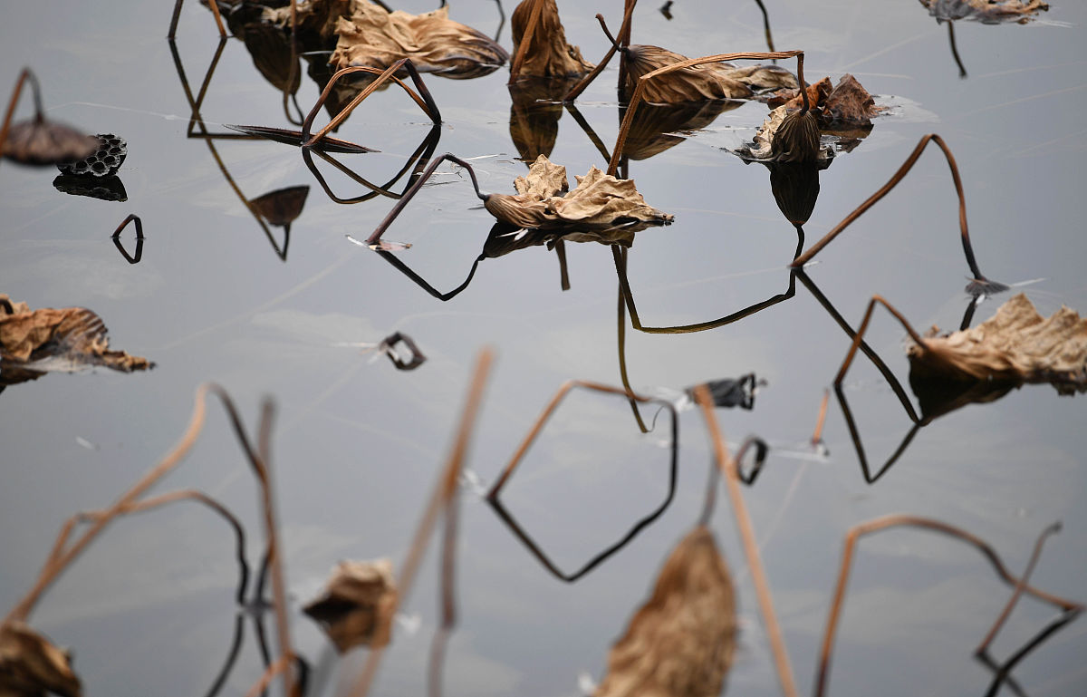 安徽能源技术学校2021年招生条件：全面考察综合素质和个人发展