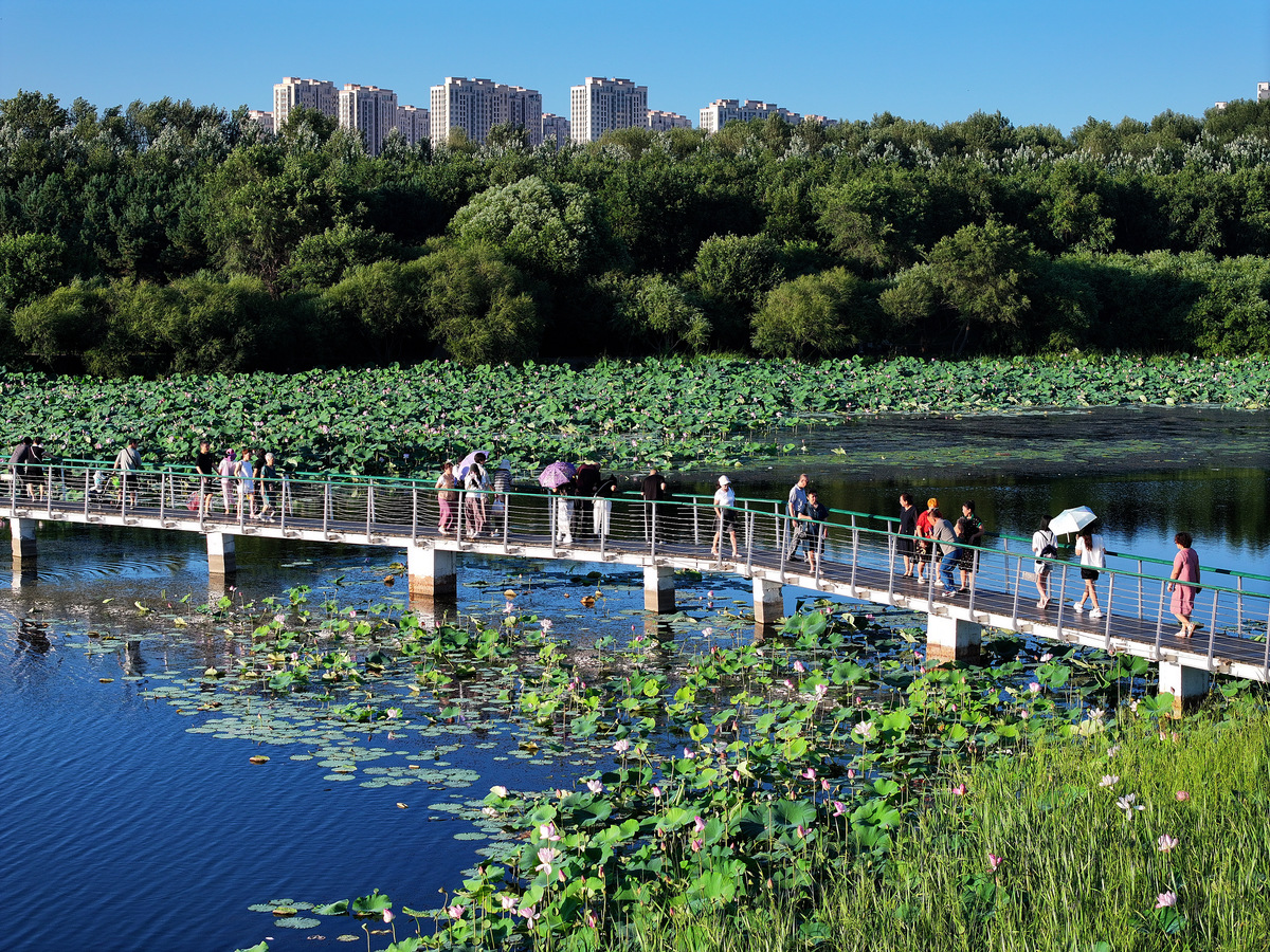 番禺旅游攻略：历史文化与现代繁华的完美结合