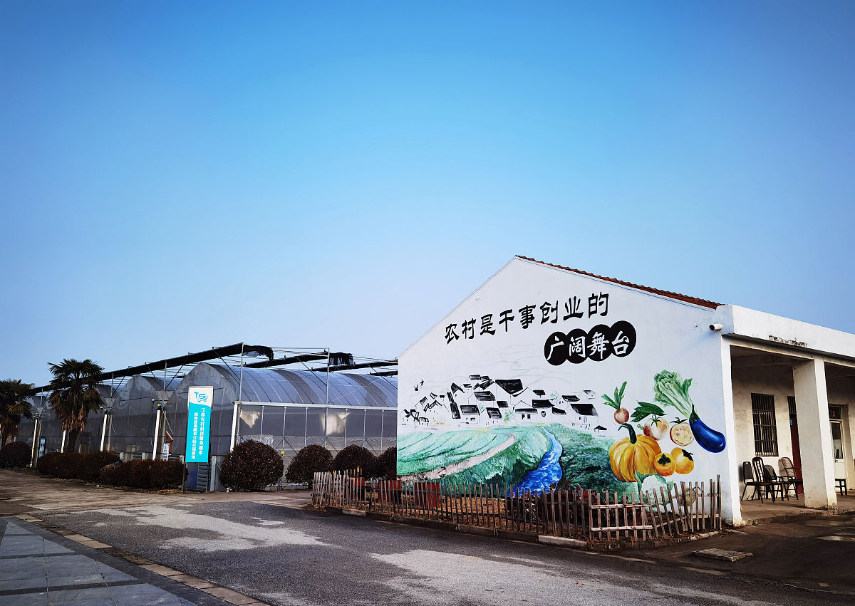 南宁市坛良村特色产业发展给其他乡村发展在注重文化传承和创新的借鉴意义