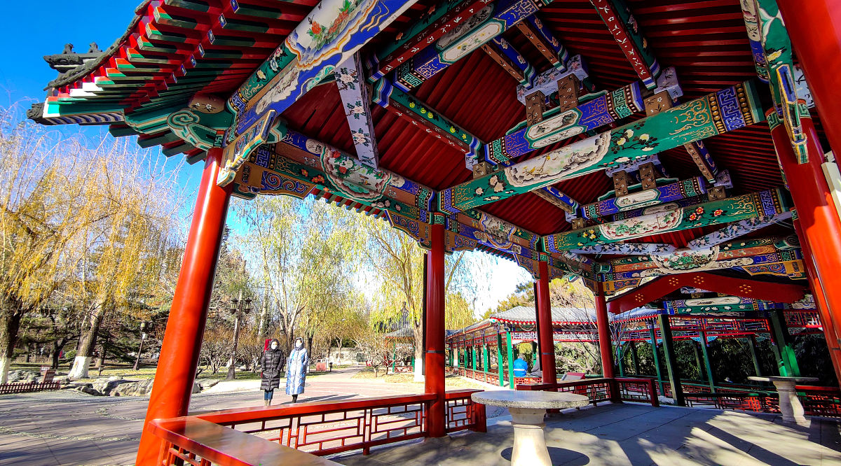 达州中医学校：传承中医药文化，培养中医人才