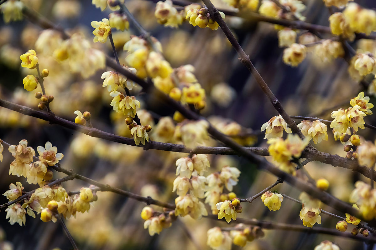 重庆2022年中等职业学校招生指南：工程、医学、商业等专业任你选