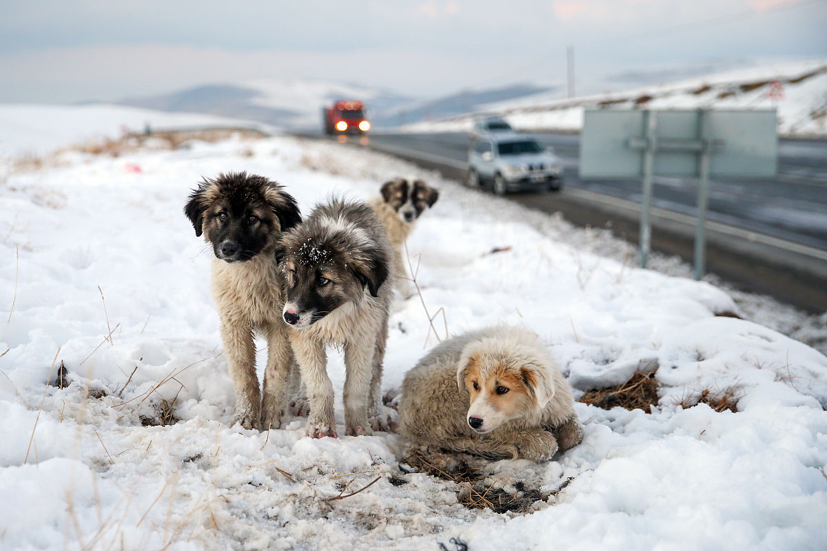 2021年曲靖护理职校春季中专招生设置