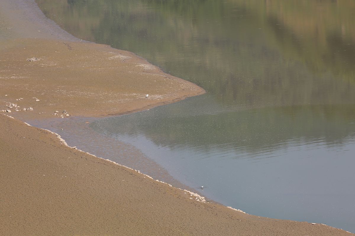 重庆卫校推荐：哪所卫校适合你？