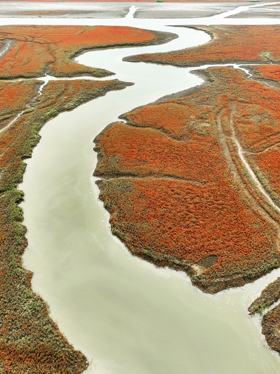 黄河流域生态保护对建设美丽中国的重大意义