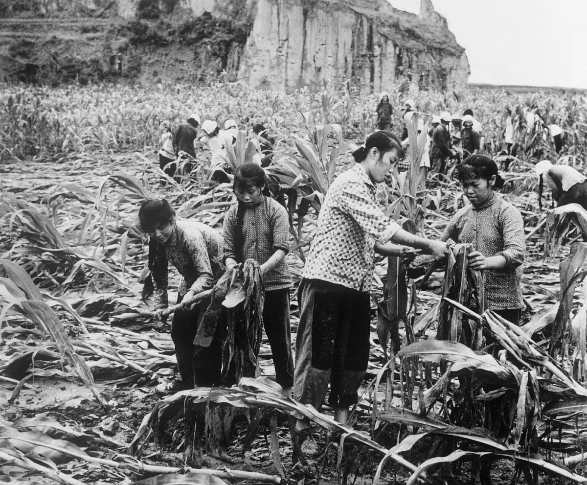 1960年中国大饥荒：悲惨历史与深刻教训